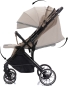 Preview: Fillikid Axis Buggy mit stufenlos verstellbarer Rückenlehne