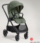 Preview: Joie Valora evergreen