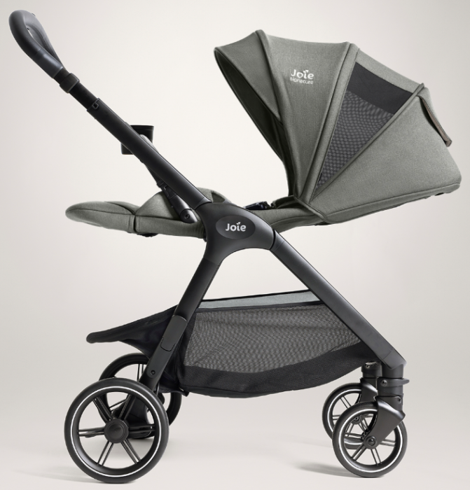 Preview: Joie Valora evergreen